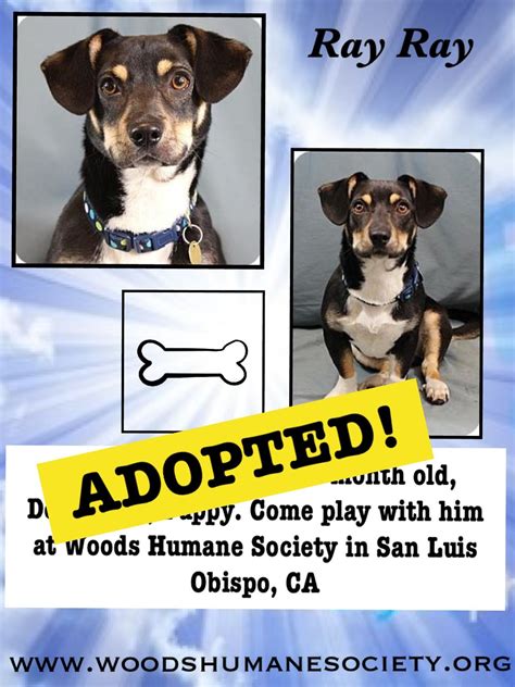 Woods humane - Woods Humane Society will operate at a limited public capacity during the Shelter at Home Order. We welcome serious adopters to call and make an adoption appointment if they are interested in taking home a new best friend. The shelter will close to the public when scheduled adoption appointments are through…or at …